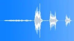 Short male laughterSound Effect