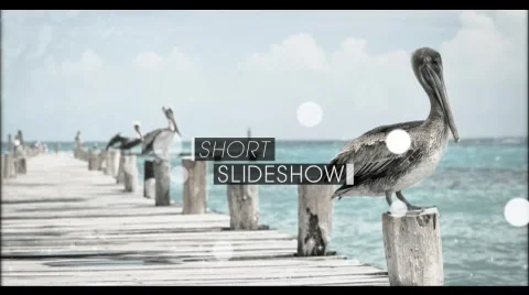 Short Particle Slideshow After Effects stock