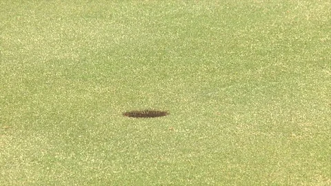 A short put goes in the hole using aiming rods Stock Footage 80509276