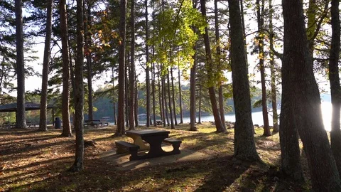 A short right panning shot of an empty lake side picnic area Video stock 119342231