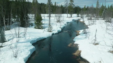 Short river in forest Stock Footage 244257687