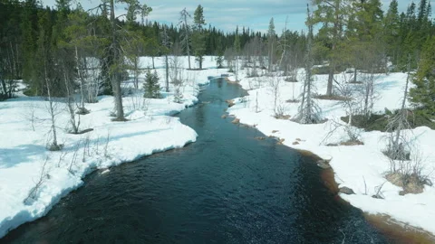 Short river in forest Stock Footage 244258591