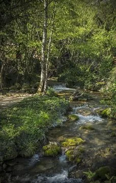 A short river Vrelo Stock Photos