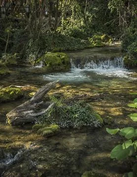 A short river Vrelo Stock Photos