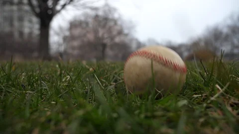 Short slow motion 50% half speed video of a baseball landing on the grass Stock Footage 88482468