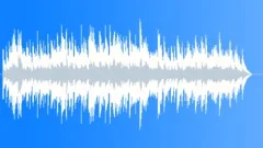 Short Soft Acoustic Guitar Stock Music