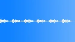 Short Stings Version 2Sound Effect
