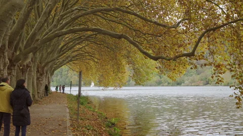 Short Timelapse Of People Walking Under Beautiful Autumn Trees Winding Over Lake Stock Footage 249825665
