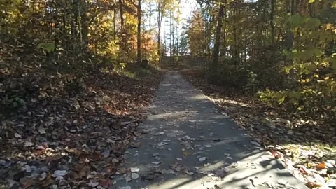 A short video of fall leaves and trees in Natural Arch Scenic Area park Vidéo 340860661