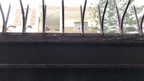 Short video of Rain Drops falling on Main Gate of A House Stock Footage 167616346
