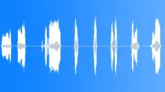 Short zippers set Sound Effect