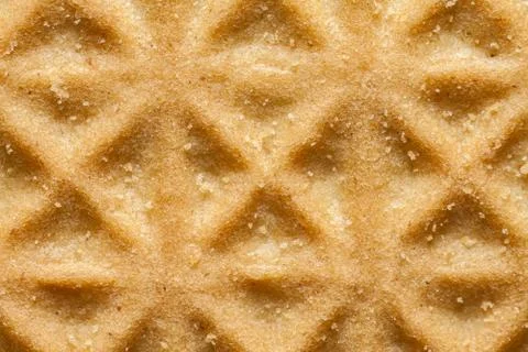 Shortbread texture close-up. Stock Photos