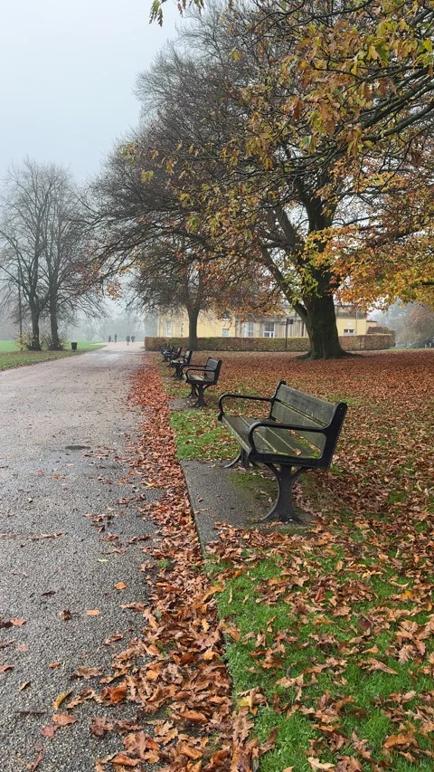Shorter for P5. Vertical. Walking in Heaton Park. Stock Footage 300779149