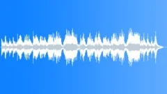 Shortest Day Of The Year Stock Music