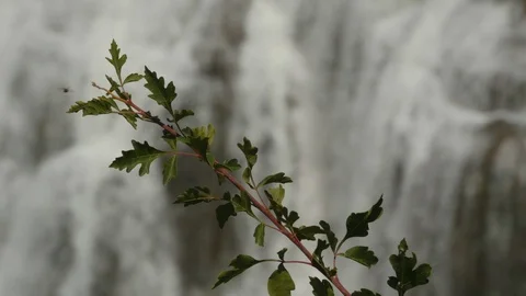 Shoshone Falls Stock Footage 93342635