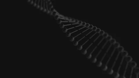 Shot 02 Stockbeeldmateriaal 174209068