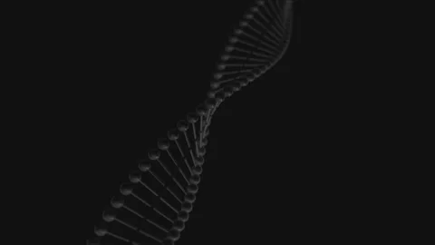 Shot 03 Video stock 174208975