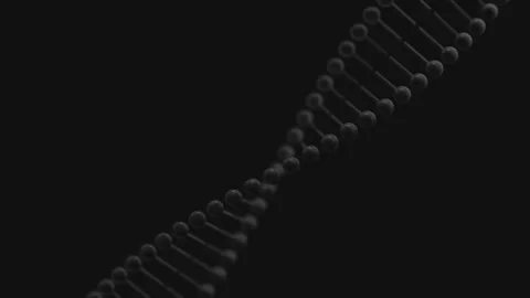 Shot 04 Stock-Footage 174209450