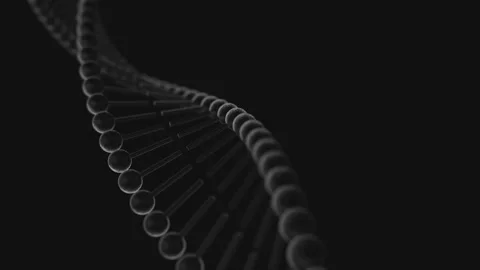 Shot 07 Video stock 174210899