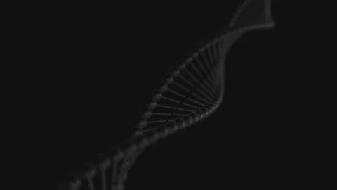 Shot 08 Stock Footage 174210989