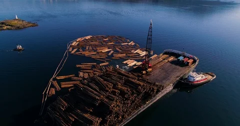 Shot 1 Stock Footage 91379651