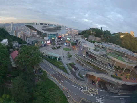 Shot 1 Video stock 202246940