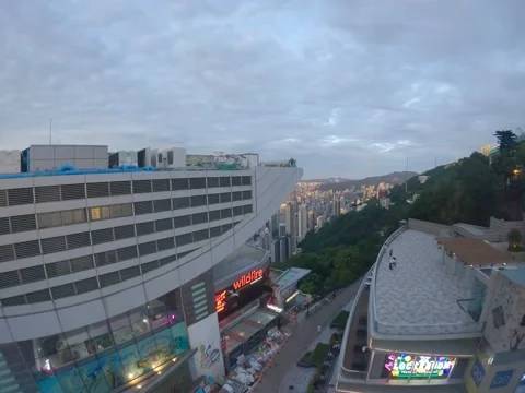 Shot 10 4k Video stock 202247895