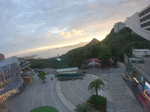 Shot 11 4k Video stock 202248432