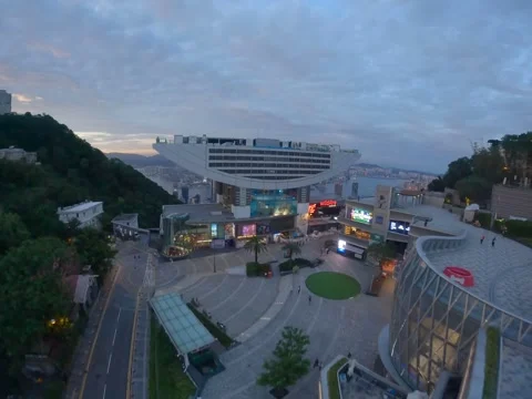 Shot 21  4k Video stock 202248959