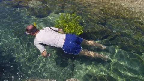 A shot from above a diver Stock Footage 82599765