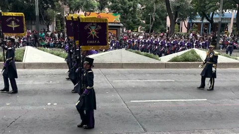 Shot of the advance of the platoon of eagle soldiers during the parade of Stock Footage 218671680