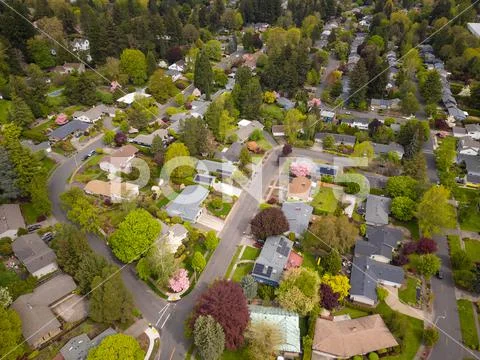 Shot from the air. Small green city, suburb. Roofs of cozy houses, many ...