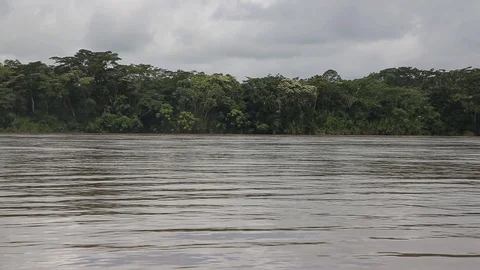 A shot from amazon river Video stock 103043511