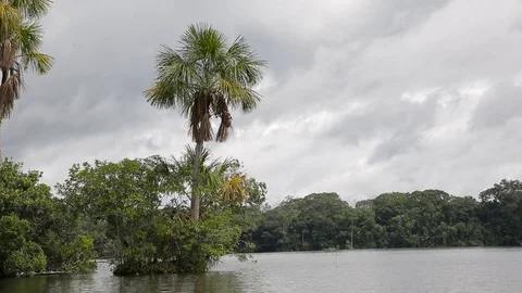 A shot of amazon river Stock Footage 103044386
