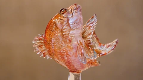 Shot of Ameizaku sculpture from sugar of colored red snapper with paint, Japan Stock Footage 146147053