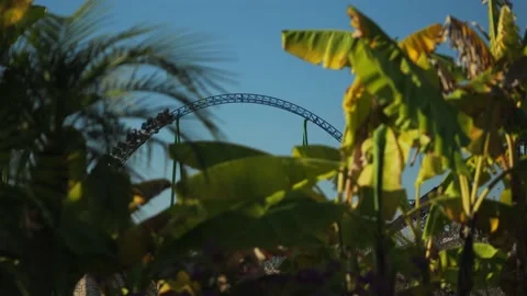 A shot from an amusement park with roller coasters passing in the distance Stock Footage 229454981