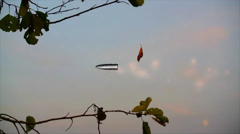 Shot and bullet flying on background of the dry leaf, sky and moon Stock Footage 69011437