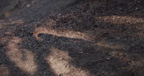 Shot back of caveman holding weapon neanderthals wearing animal skin stand walk Видео 118399858
