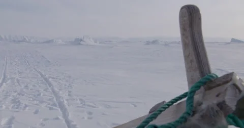 Shot from back of dog sled Stock Footage 138237865