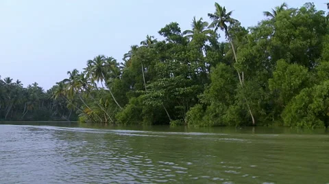A Shot Of Backwaters In kerala Stock-Footage 52713867
