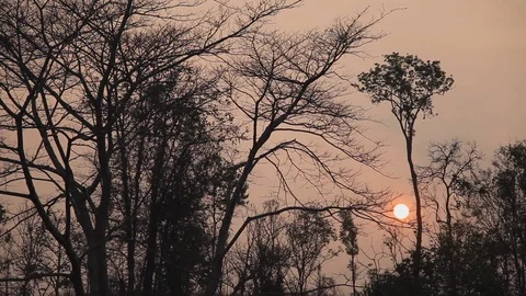 Shot of beautiful sunset, sun setting behind the tree Stock Footage 121860169