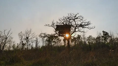 Shot of beautiful sunset, sun setting behind the tree Stock Footage 121860334
