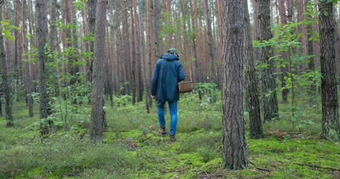 Shot from behind man dressed warmly with helmet on head walks through forest Stock Footage 169558482