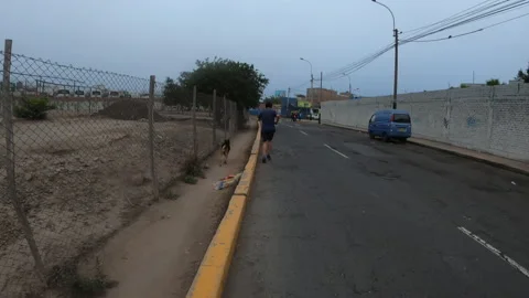 Shot from behind of a man running with his dog Vidéo 140561886