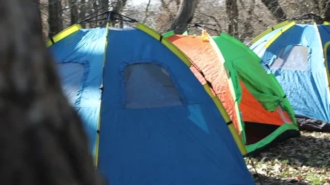 A shot from behind the tree of a camp Stock Footage 194375898