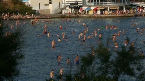 Shot from behind tree leafs of crowd of people swimming playing together in sea Video stock 90268750