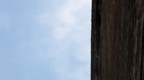 Shot between two buildings Stock Footage 33755710