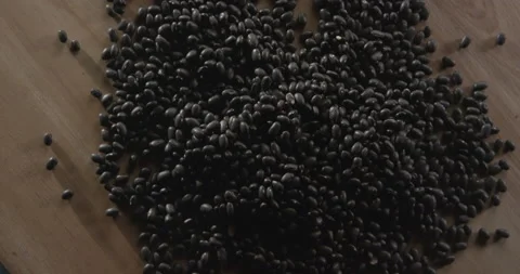 Shot of black beans Stock Footage 146439061