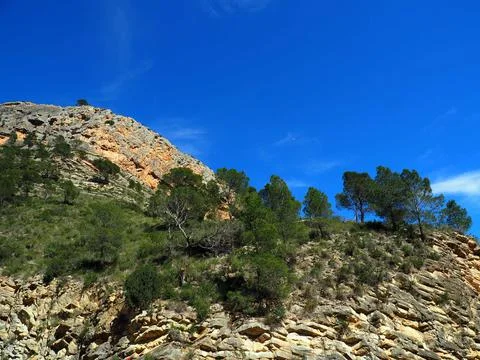 Shot of a bumpy cliff covered with trees under the bright skyline Foto stock