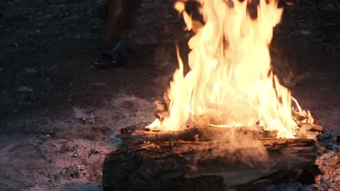 Shot of camp bonfire flames 库存影片 236055452